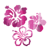 Fleur,Lotus,Peinture,Fleurs,rose,rose,fleur