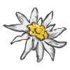 Edelweiss