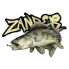 Zander/Pikeperch