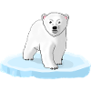 Eisbär auf Eisscholle