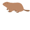 Marmot Whisperer Marmot Zookeeper