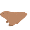 Marmot Heart Marmot Zookeeper