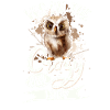Owl Owls Funny Saying