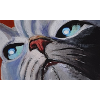 Cat Cartoon Comic
