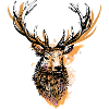 Big proud deer
