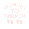 Twin Mom