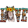 Cheval d’amour
