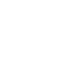 1924 NAISSANCE D'UNE LÉGENDE