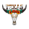 Texas Bull Skull