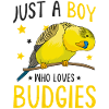 budgerigar