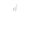 lama