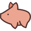 Petit cochon