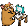 Hamster Geek