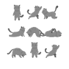 Chat yoga méditation chat méditateur