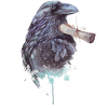 Briefrabe Hexenvogel Mystisches Design