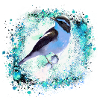 oiseau, dessin, peinture,meise,aquarelle,vert,bleu