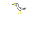 Nordsee Möwe- Moin