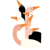 Geese