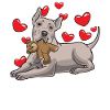 Thai Ridgeback chien avec peluche