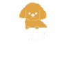 poodle