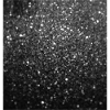 Sparkling Black Glitter