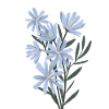 Flowers Blue Flowers