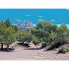 Drawing of Provence - Sainte-Victoire Mountain