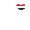 Syrien Flag arabisk flag Damaskus Gave