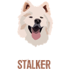 Personal Stalker Samoyed