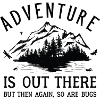 Adventure Bugs
