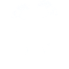 Die Schöpfung