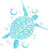Dear Turtle