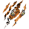 Tiger Claws