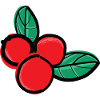 Beerenbeerenfrucht