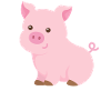 Pig for children