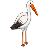 Stork