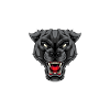 Muay Thai Thai Boxing Panther