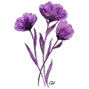 Violet poppy flower bouquet GSN