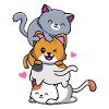 Cat Tower