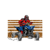 Je Peux Pas J'ai Quad