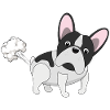 Bully farts - French Bulldog