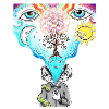 open mind