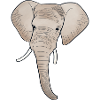 Elephant elephant