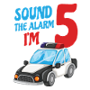 5ème Anniversaire garçon voiture cadeau