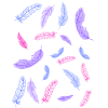 bi springs