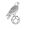 Besiktas / Eagles / Istanbul