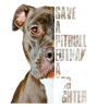 Salva un pitbull un combattente per cani