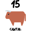 15 Cantal Vache Salers Auvergne