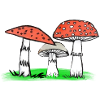 Mushroom Trio Forest Illustration Mushrooms