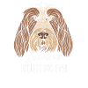 Spinone Italiano